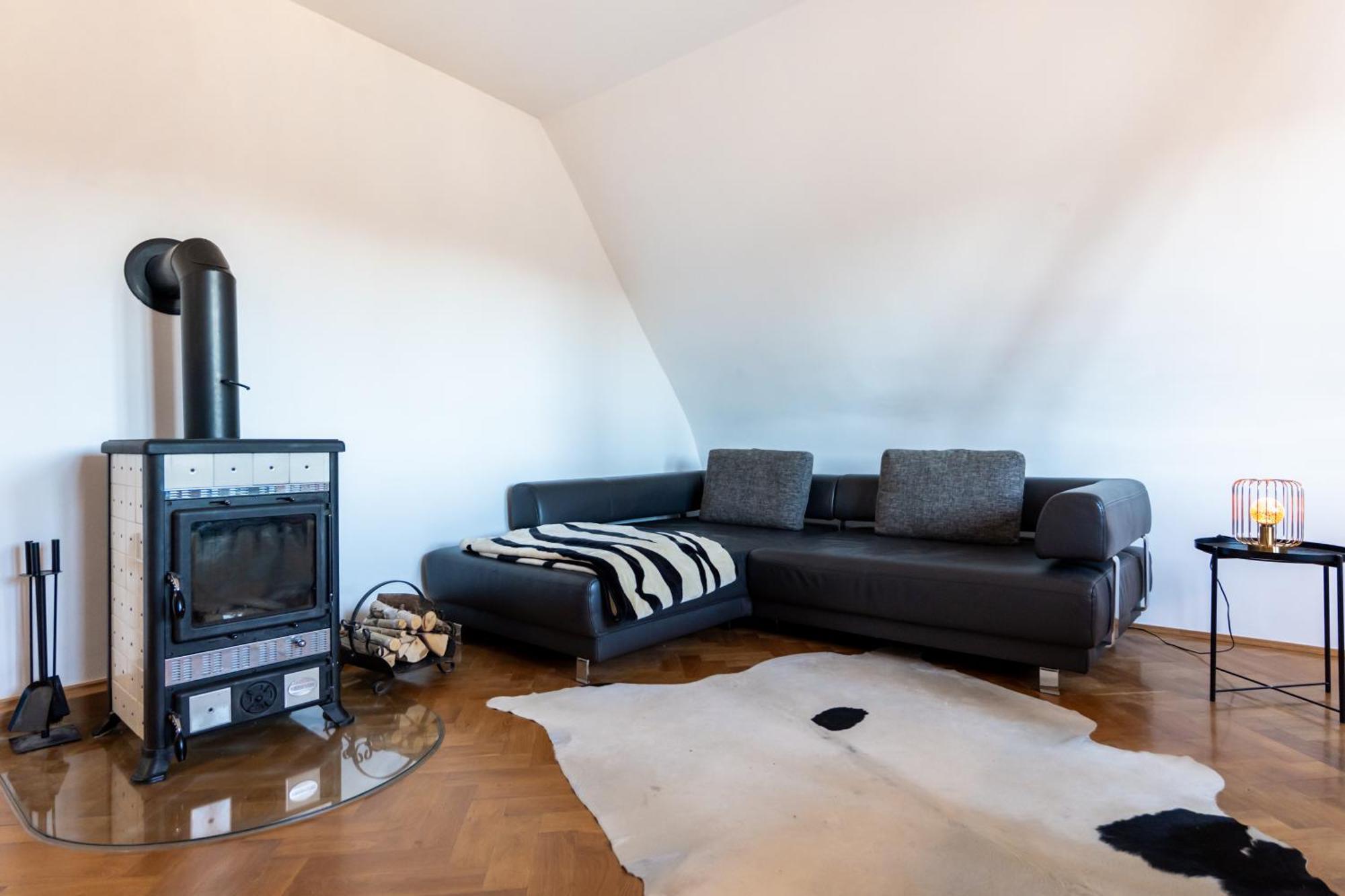 Doppelhaus- Villa Leipzig Schleussig , Moderner Altbau Apartment Dachetage Mit 2 Schlafzimmern Und Separatem Zusatzzimmer , Parkplatz - Balkon - Kamin - Eicheparkett - Arbeitsplatz Luaran gambar